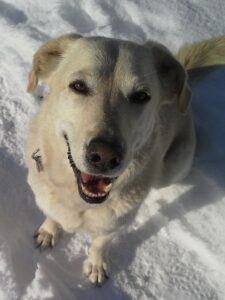 Foto 5 Bilderreihe Kontakt neu